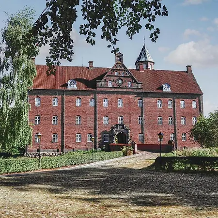 Pet Friendly In With Wifi