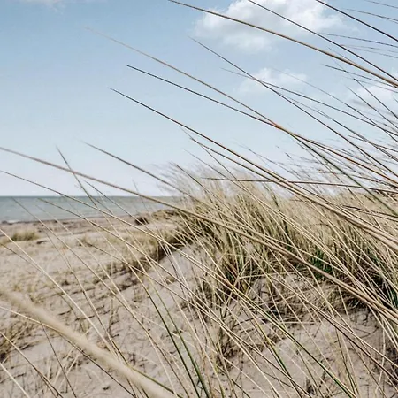 Σπίτι διακοπών Pet Friendly In With Wifi
