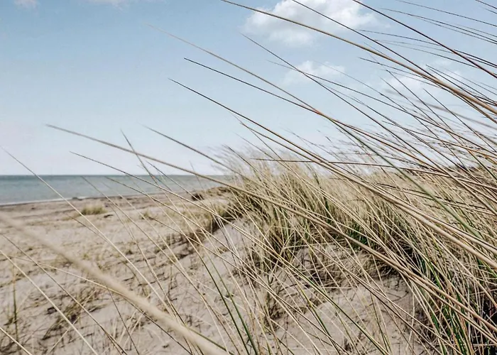 Σπίτι διακοπών Pet Friendly In With Wifi
